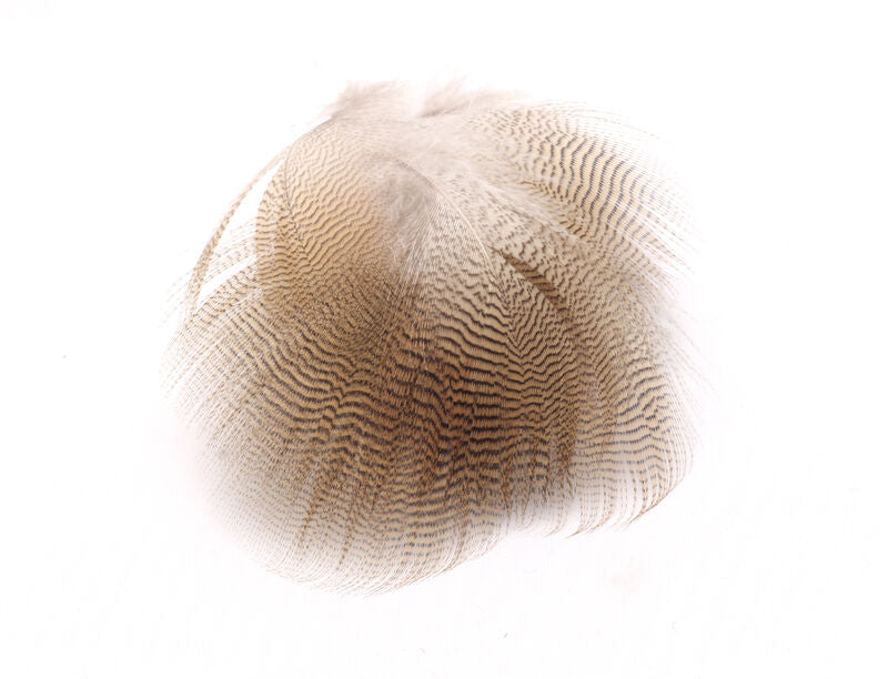 Wood Duck Feathers Lemon - Hareline