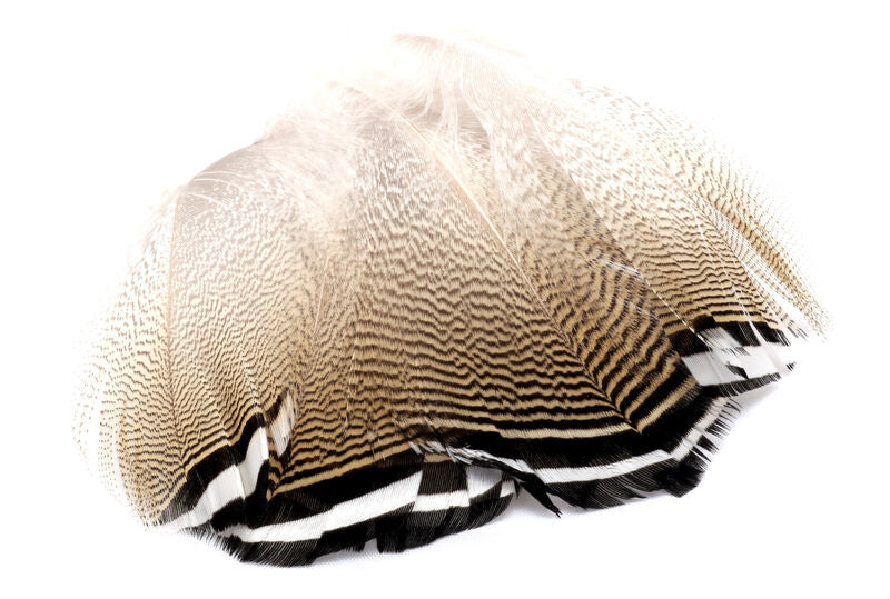Wood Duck Feathers Black Barred - Hareline