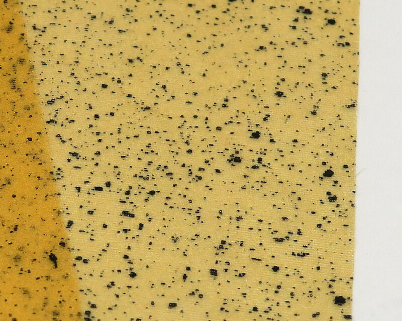 Web Wing Mottled