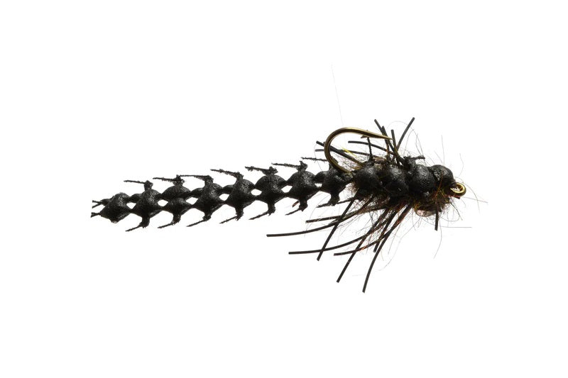 Wilson's Turbomite - By Rainy's