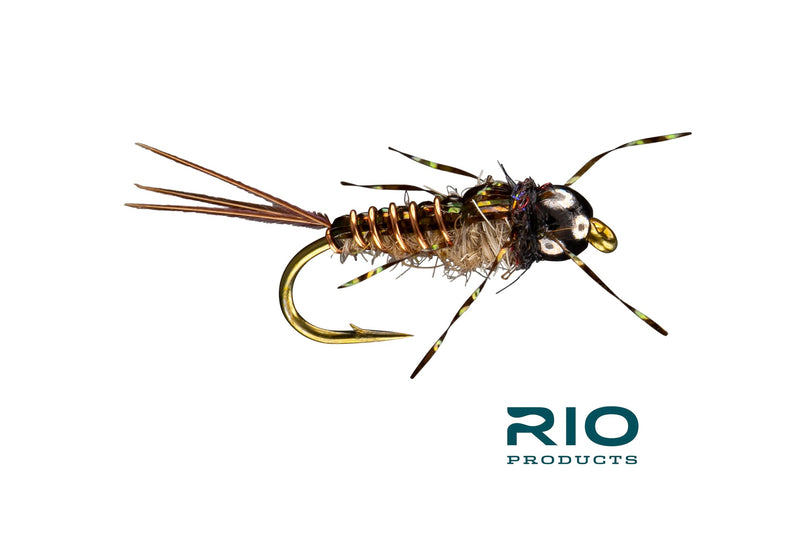Morrish Anato-May Tungsten - RIO