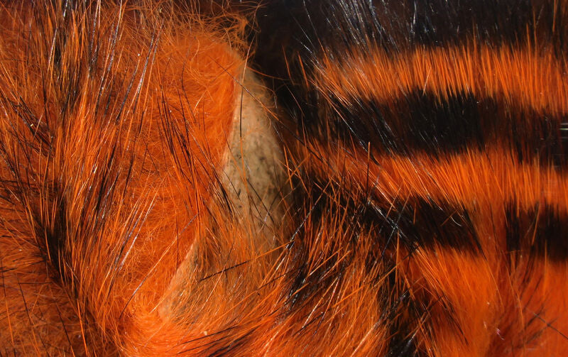 Barred Magnum Rabbit Strips--Hareline