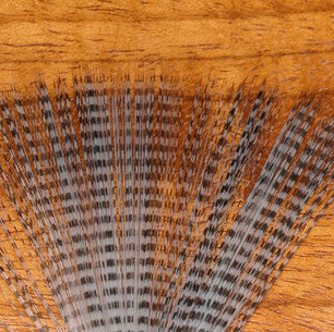 Barred Mayfly Tails - Hareline