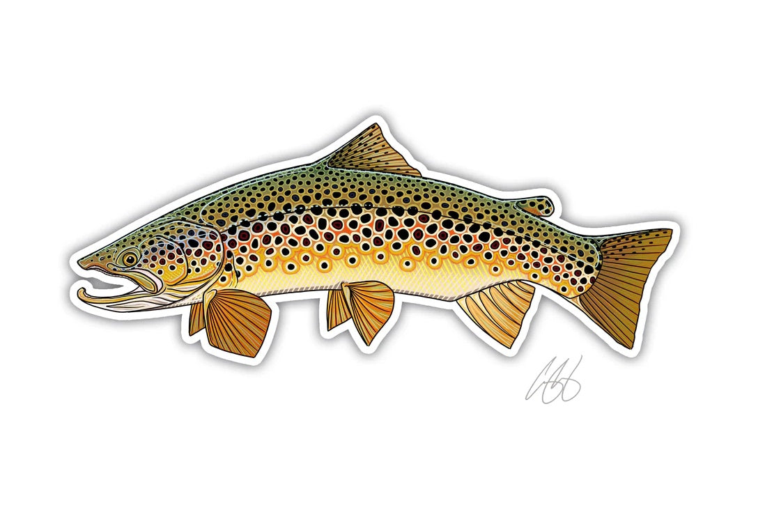 Casey Underwood Artwork - Brown Trout Decal — Big Y Fly Co