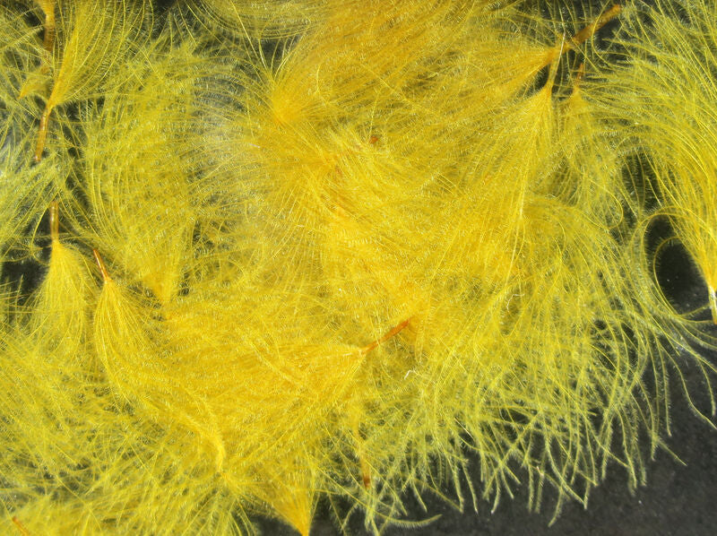 CDC Oiler Puffs - Hareline