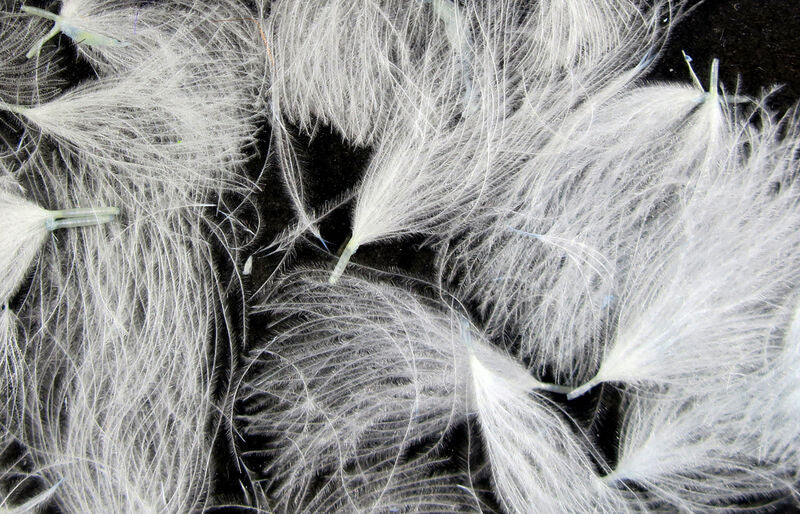 CDC Oiler Puffs - Hareline