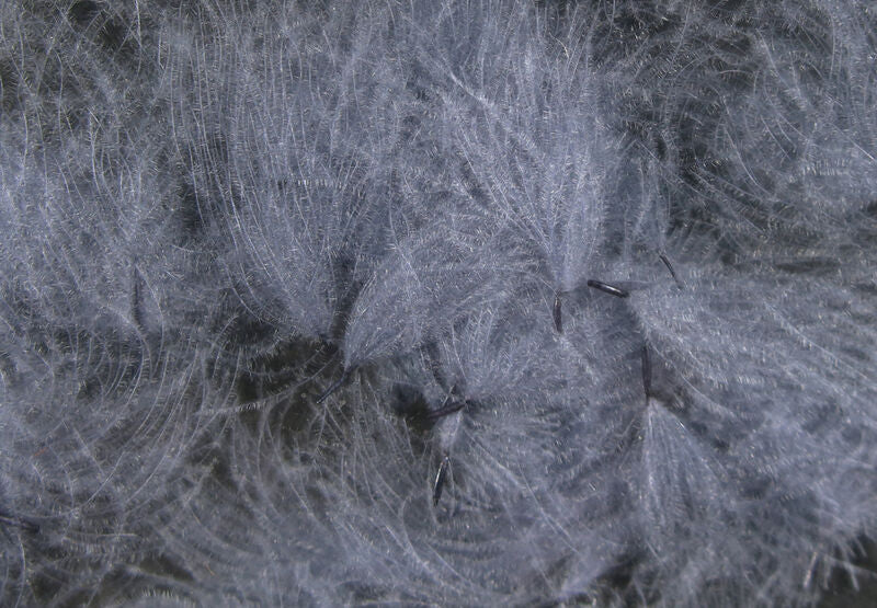 CDC Oiler Puffs - Hareline