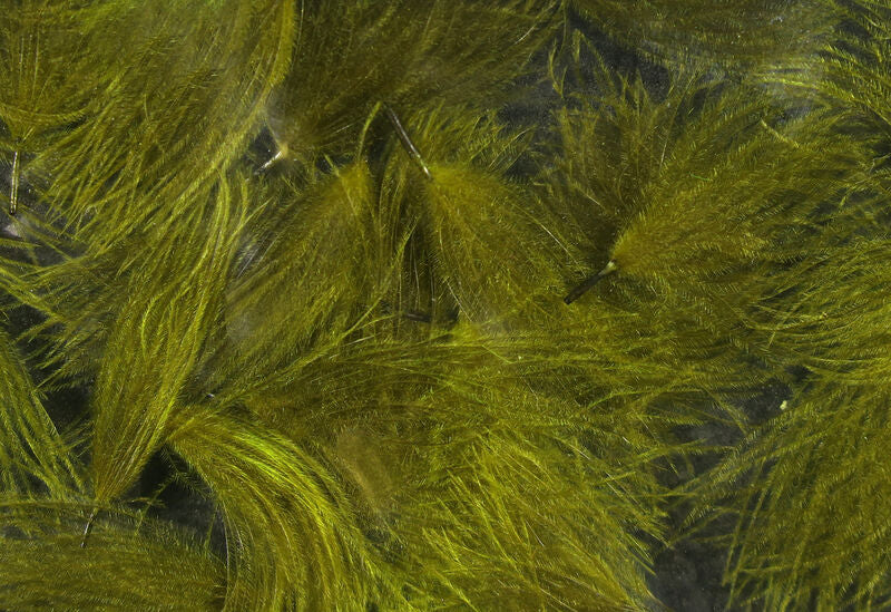CDC Oiler Puffs - Hareline
