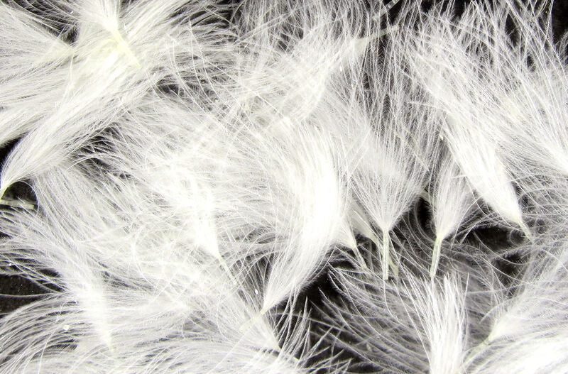 CDC Oiler Puffs - Hareline