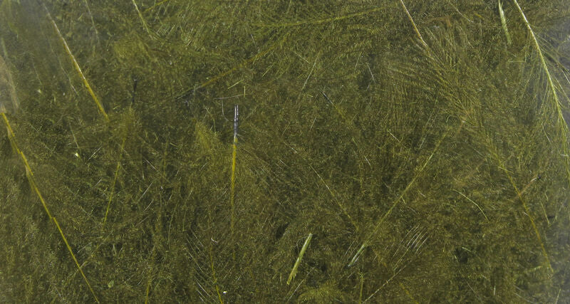 CDC Super Select - UV2 - Hareline/Spirit River