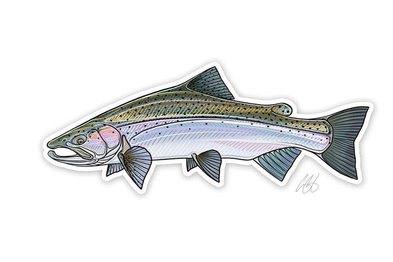 Casey Underwood Artwork - Steelhead Decal