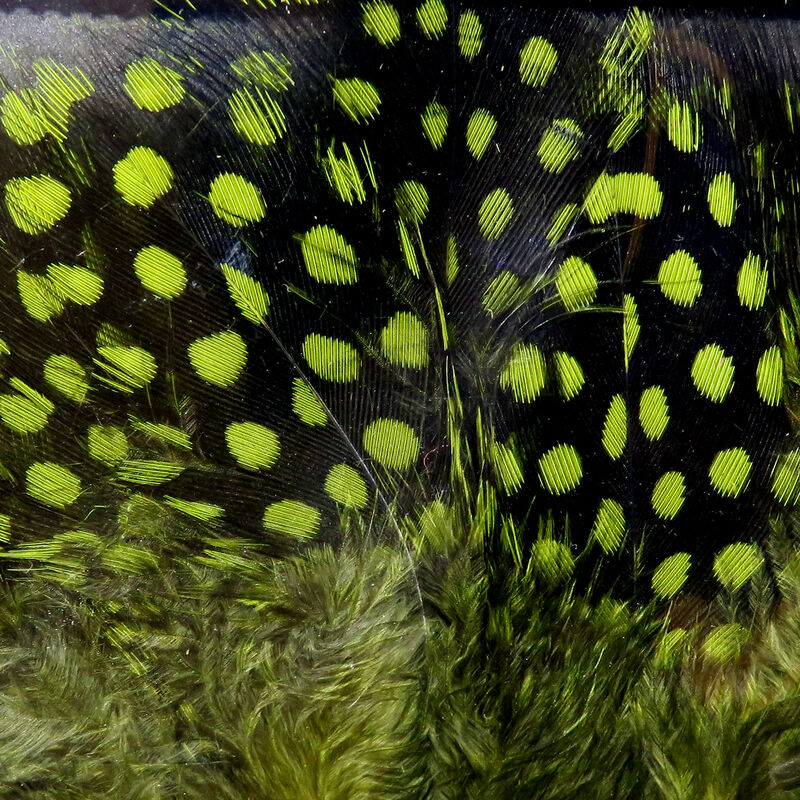 Guinea Feathers (UV2) Large Eye - Hareline