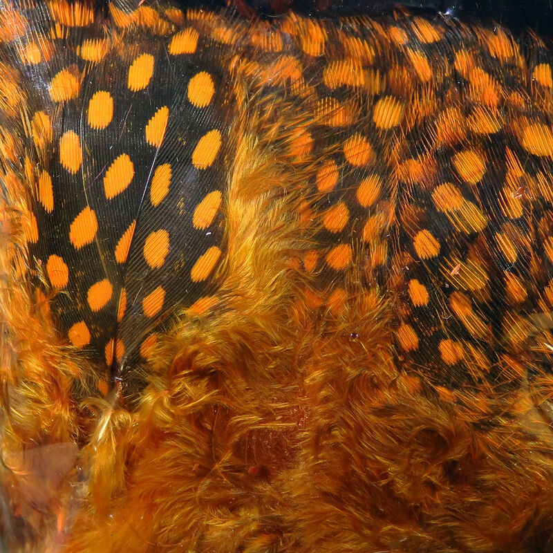 Guinea Feathers (UV2) Large Eye - Hareline
