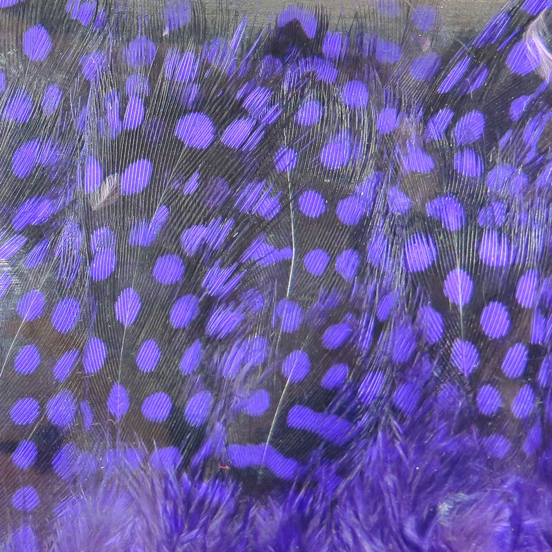 Guinea Feathers (UV2) Large Eye - Hareline