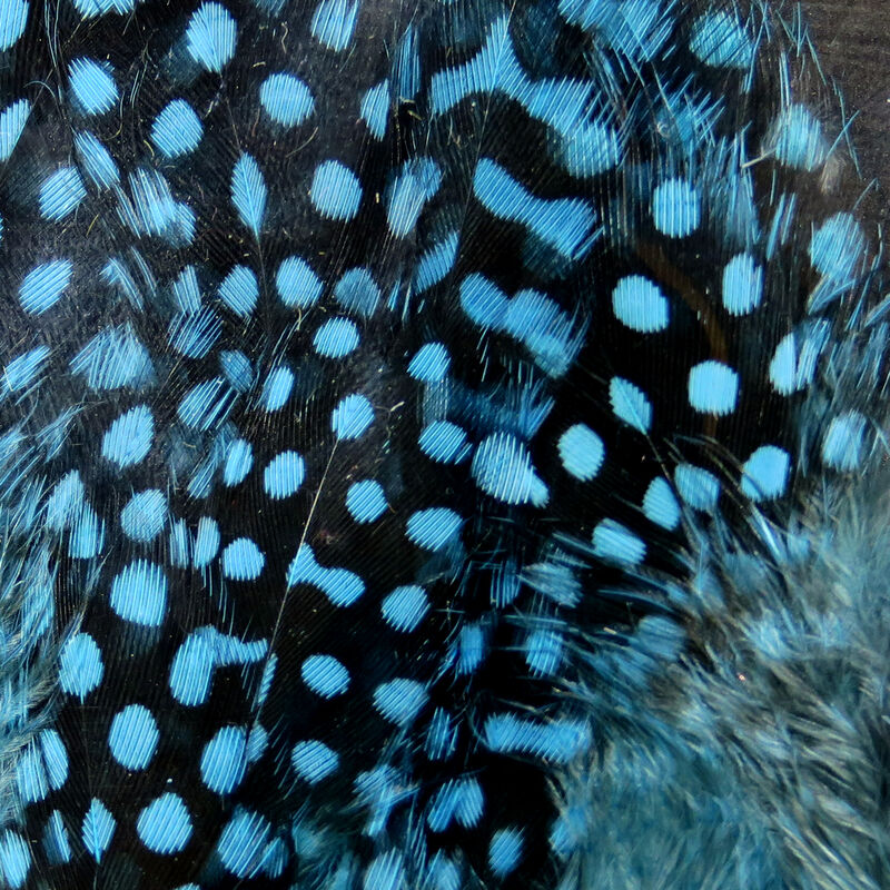 Guinea Feathers (UV2) Large Eye - Hareline