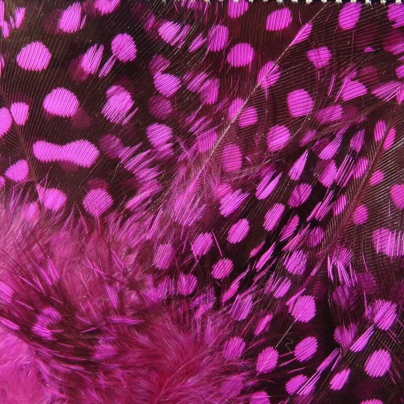 Guinea Feathers (UV2) Large Eye - Hareline
