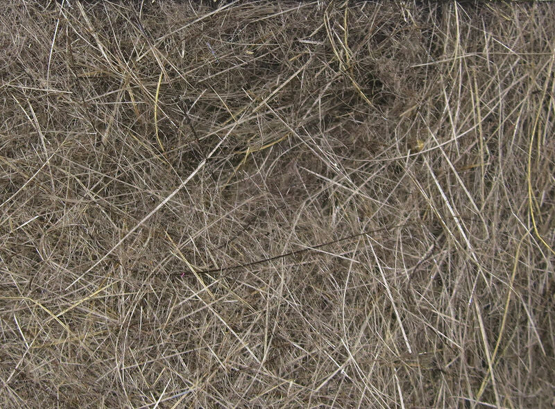 Hareline Dubbin - 12 Most Popular Colors