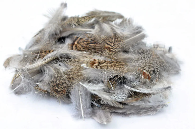 Premium Hungarian Partridge Hackle--Hareline