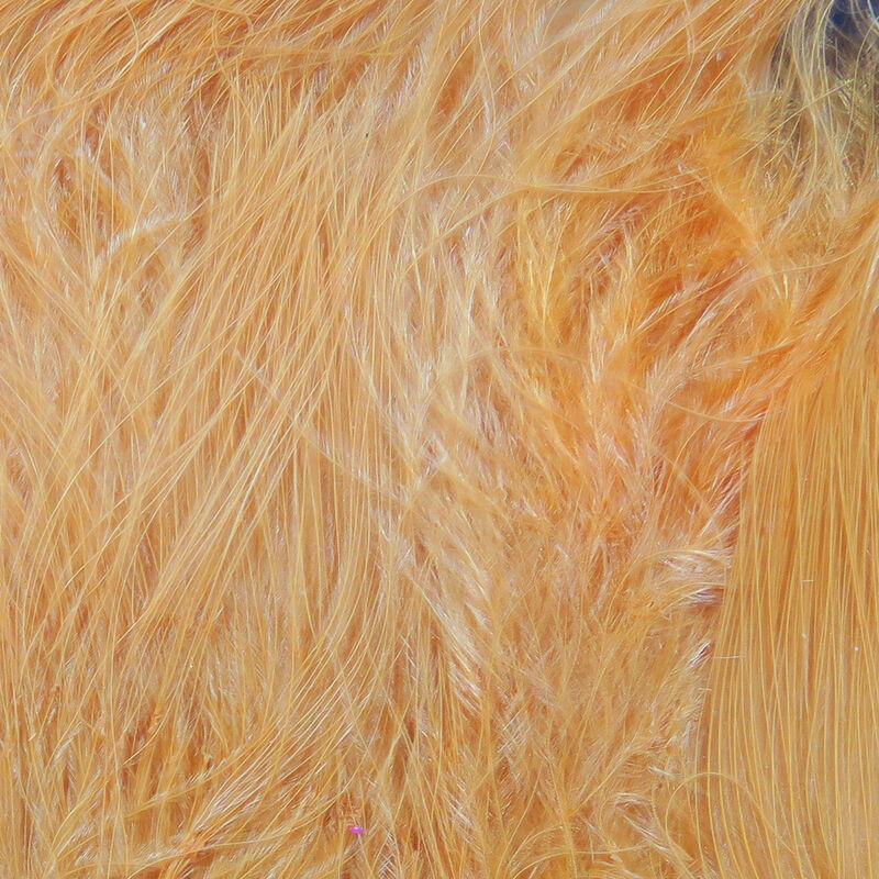 Marabou Blood Quills--Hareline