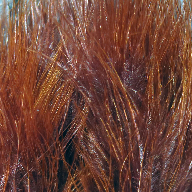 Marabou Blood Quills--Hareline