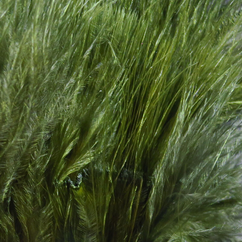 Marabou Blood Quills--Hareline
