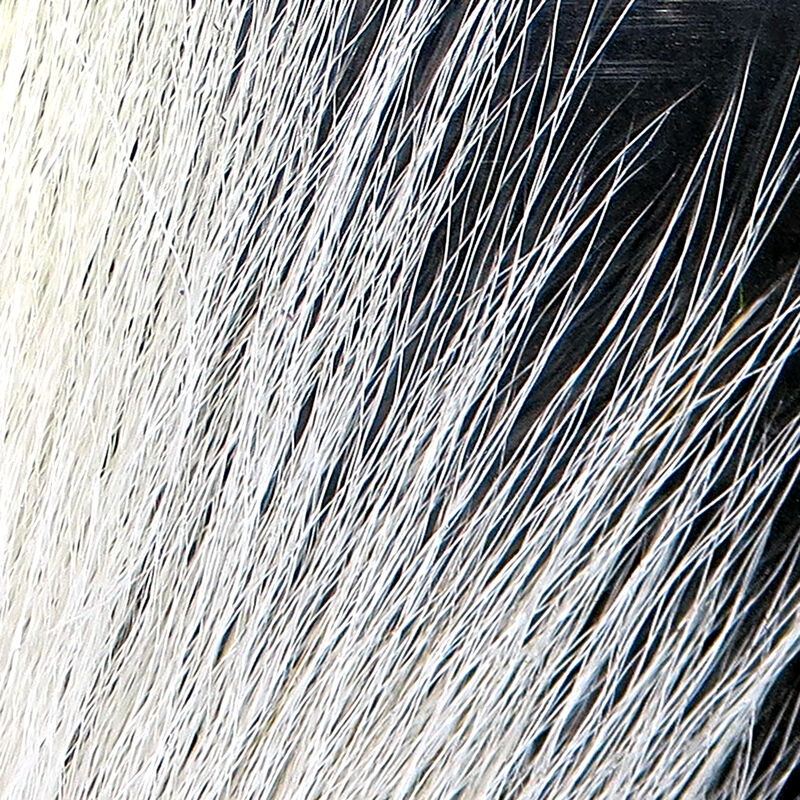 Large Northern Bucktail--Hareline
