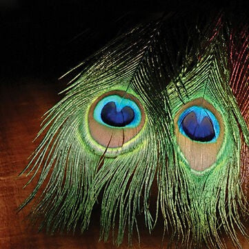 Peacock Eye Sticks--Hareline