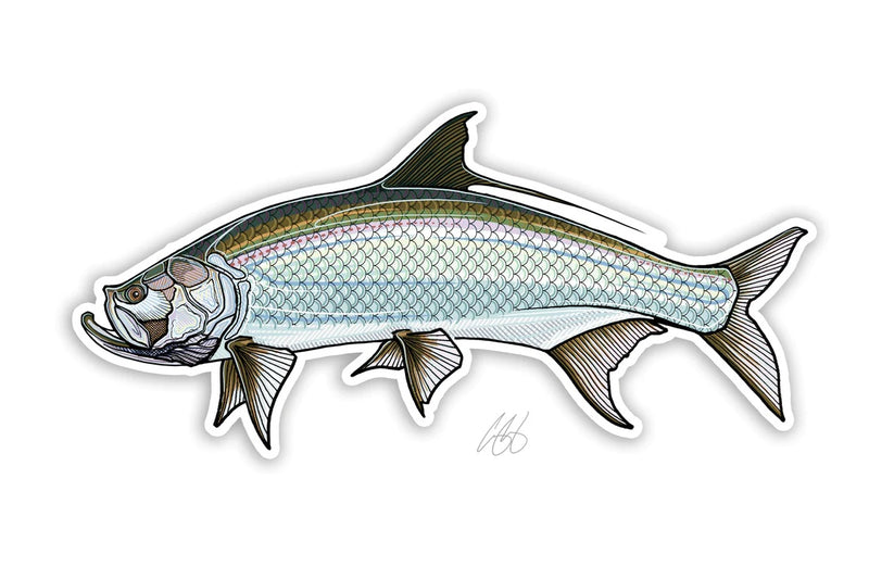 Casey Underwood Artwork - Tarpon Decal