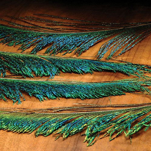 Peacock Swords--Hareline