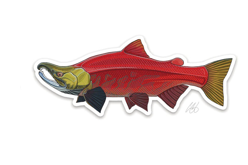Casey Underwood Artwork - Sockeye Salmon Decal
