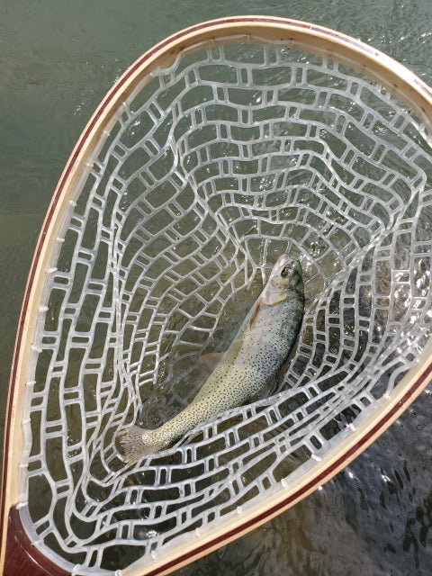 big net to catch fish Big Y Fly Co. Catch and Release Net