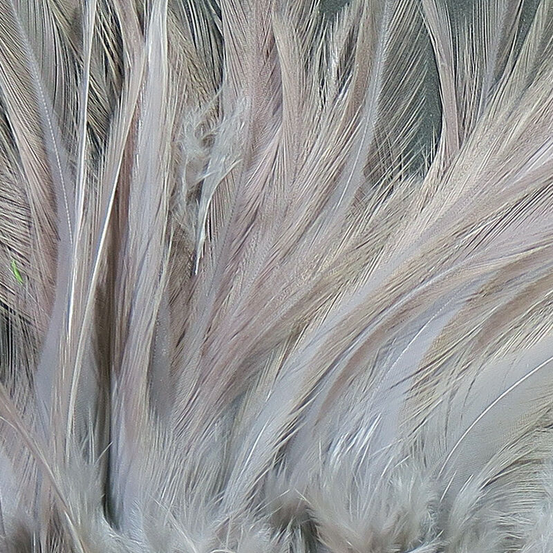 Strung Saddle Hackle 5-7"--Hareline