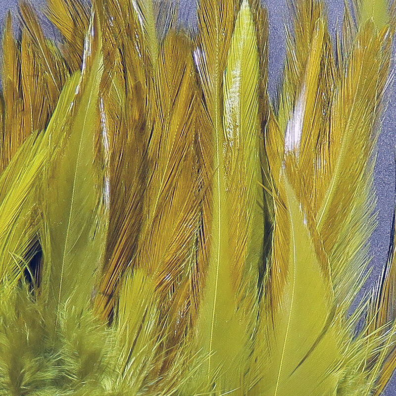 Strung Saddle Hackle 5-7"--Hareline