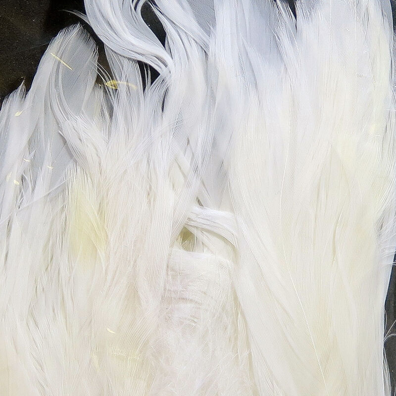 Strung Saddle Hackle 5-7"--Hareline