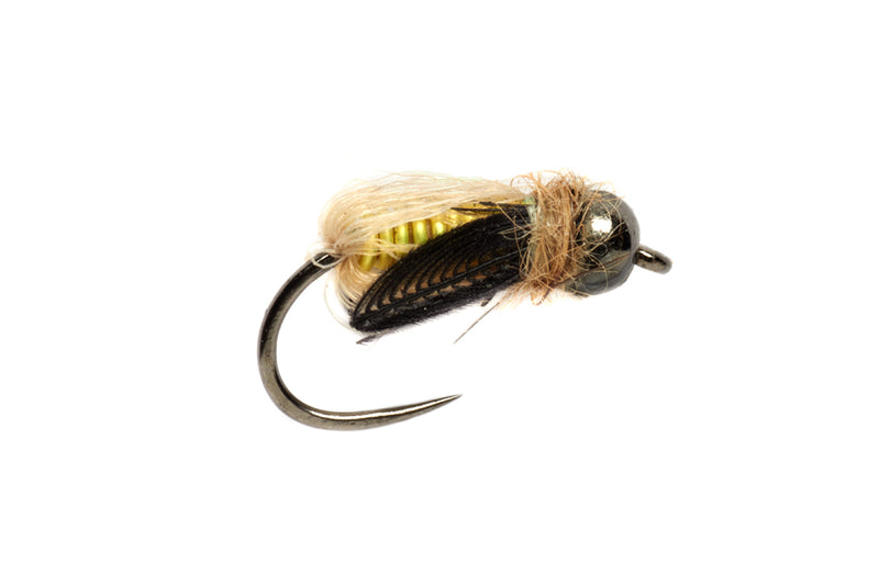 Rosenbauer's Deep Caddis Pupa - Fulling Mill (Barbless)