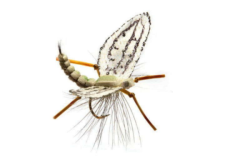 Spotts’ Western Green Drake - Fulling Mill - Mayfly Dry Fly