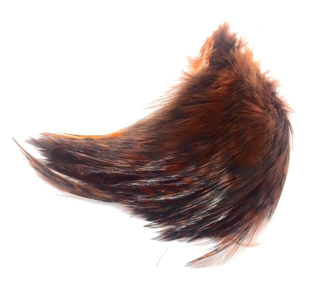 Barred Neck Hackle--Wapsi