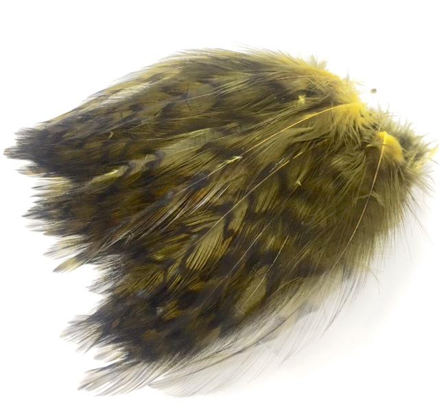 Barred Neck Hackle--Wapsi