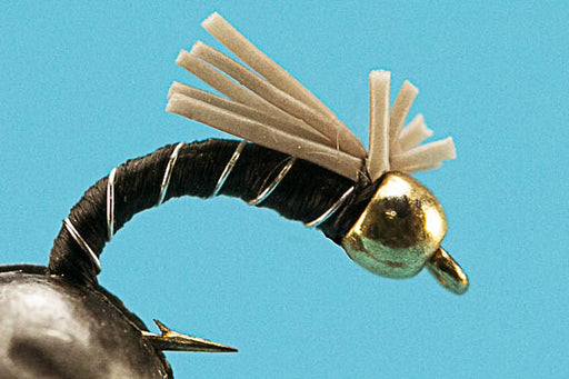 Beadhead Weevil-Euro Flies- — Big Y Fly Co