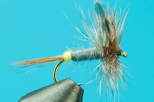 Pale Morning Dun Thorax-Fly Fishing Flies- — Big Y Fly Co
