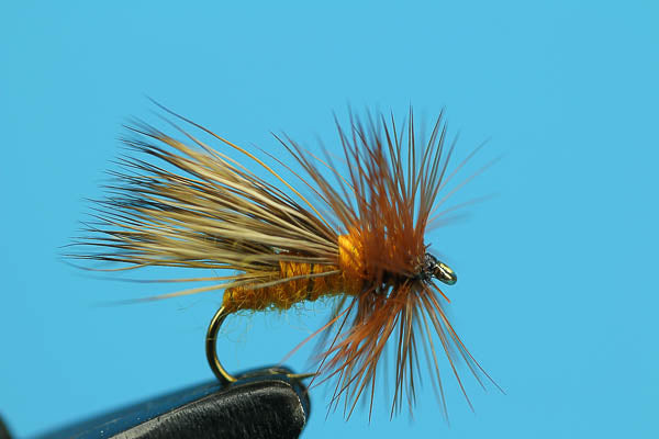 Autumn Caddis - Dry Fly