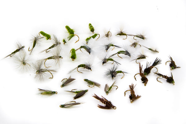 Blue Wing Olive Assortment--36 Flies #6