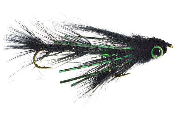 Baby Gonga - Umpqua