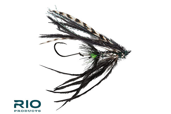 Bantam - RIO