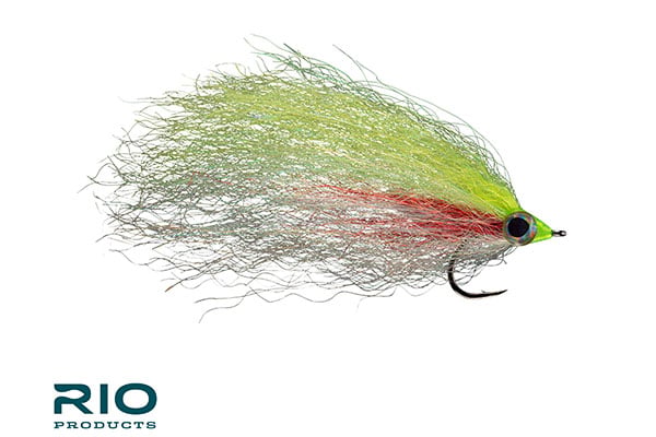 Big Baitfish - RIO