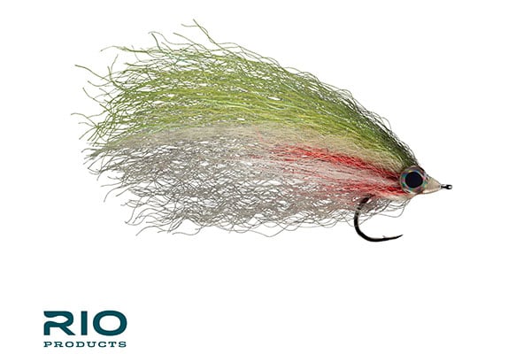 Big Baitfish - RIO