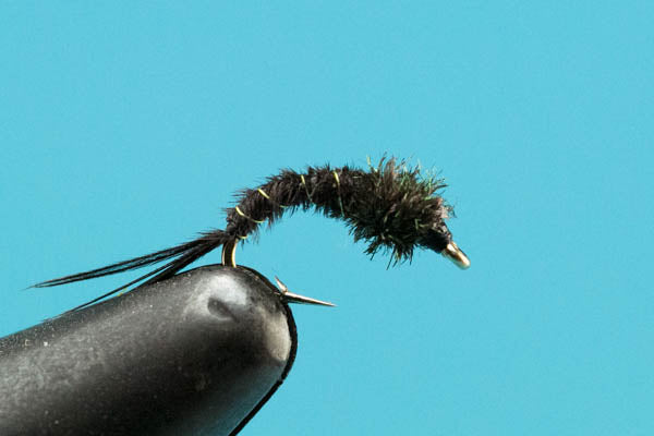 Black Caddis Pupa-Discount Premium — Big Y Fly Co