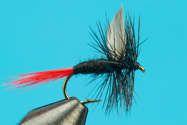 Black Gnat Red-Tail Dry Fly