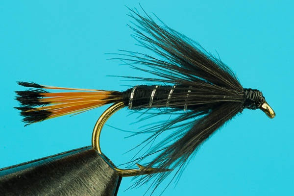 Black Pennell Wet Fly