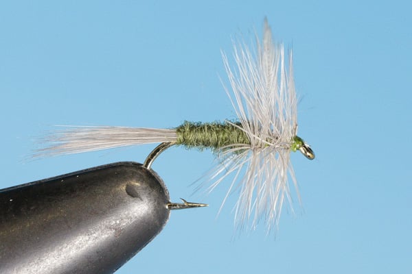 Big Y Fly Co-BWO Dry Fly